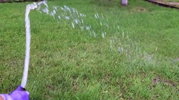 Streuen Von Frischem Grasgrünem Rasen Mit Einem Starken Wasserstrahl — Stockvideo