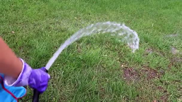 Streuen Von Frischem Grasgrünem Rasen Mit Einem Starken Wasserstrahl — Stockvideo