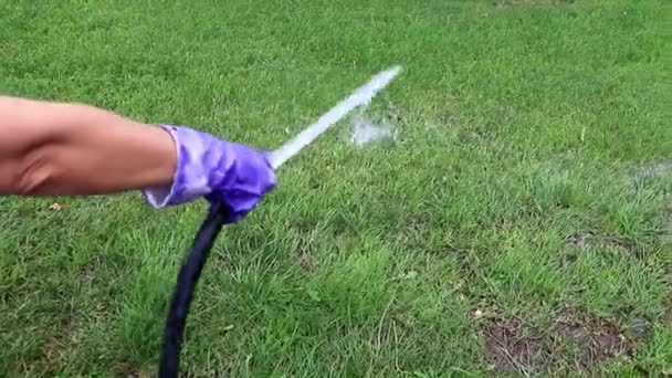 Zraszanie Świeża Trawa Zielony Trawnik Strumieniem Wody Silne — Wideo stockowe
