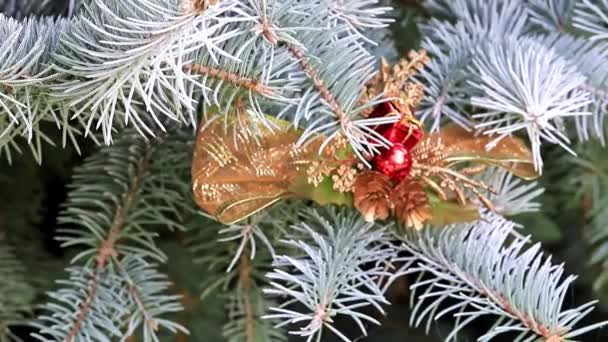 Vánoční Hračky Větvích Živobytí Borovice Strom Jako Sváteční Dekorace — Stock video