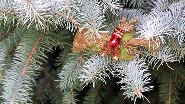 Christmas Speelgoed Takken Van Een Levende Boom Pine Als Vakantie — Stockvideo