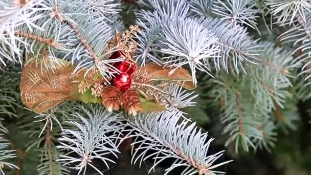 休日の装飾としてクリスマスおもちゃ生活の枝に松の木 — ストック動画