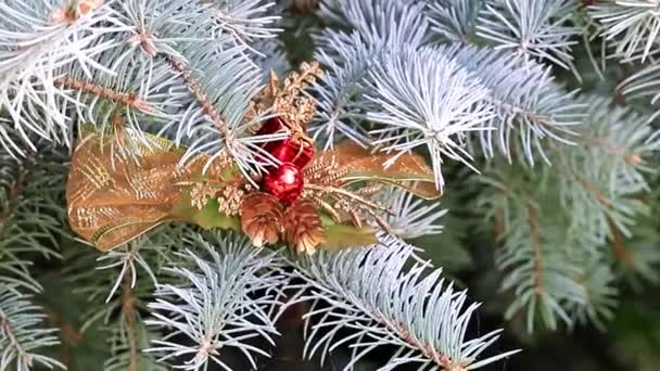 Jul Leksaker Grenarna Levande Tall Träd Som Holiday Dekoration — Stockvideo