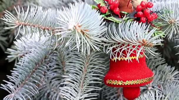 Weihnachtsspielzeug Auf Den Ästen Einer Lebenden Kiefer Als Weihnachtsdekoration — Stockvideo