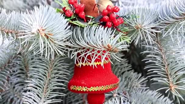 Christmas Toys Branches Living Pine Tree Holiday Decoration — Stock Video