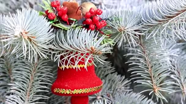 Рождественские Игрушки Ветвях Живой Сосны Качестве Праздничного Украшения — стоковое видео