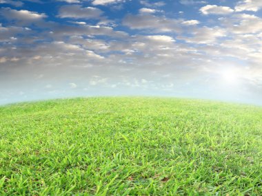 taze yeşil çim alan çayır mavi bir bulutlu gökyüzü altında