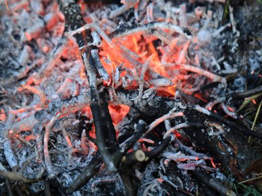 parlak alevler içinde belgili tanımlık vahşi bir kuraklık sırasında orman yangın