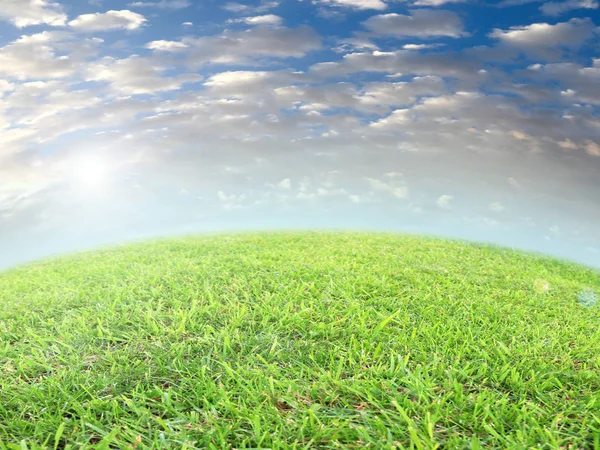 fresh green grass of a field meadow under a blue cloudy sky