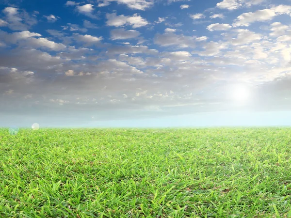 Fresh Green Grass Field Meadow Blue Cloudy Sky — Stock Photo, Image