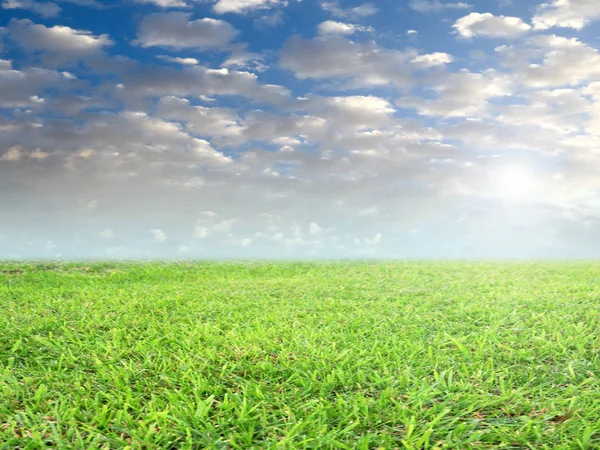 Fresh Green Grass Field Meadow Blue Cloudy Sky — Stock Photo, Image