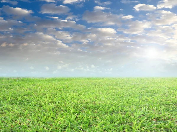 Fresh Green Grass Field Meadow Blue Cloudy Sky — Stock Photo, Image