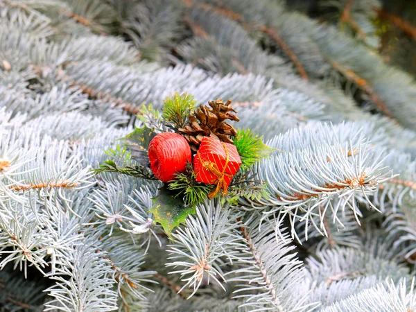 Διακοσμήσεις Χριστουγέννων Στα Κλαδιά Ενός Δέντρου Δάσος Την Παραμονή Των — Φωτογραφία Αρχείου