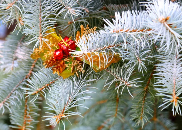 Weihnachtsschmuck Den Zweigen Eines Waldbaums Vorabend Eines Feiertags — Stockfoto