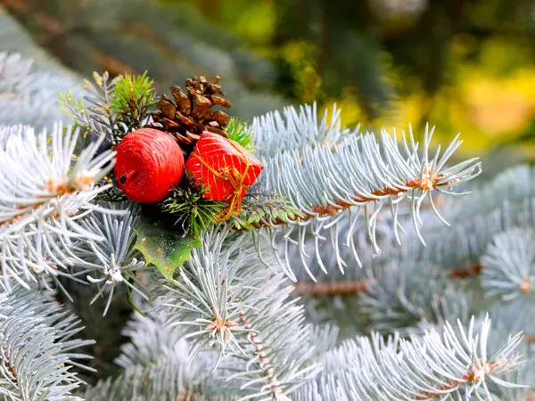 Decorações Natal Nos Ramos Uma Árvore Florestal Véspera Umas Férias — Fotografia de Stock