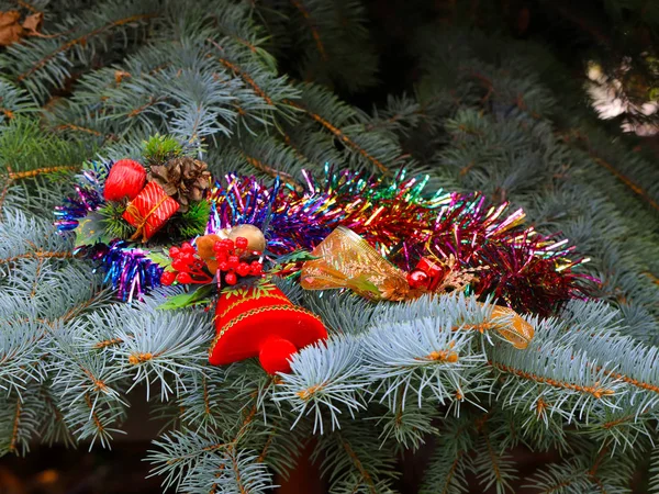 Dekorasi Natal Cabang Cabang Pohon Hutan Pada Malam Hari Libur — Stok Foto