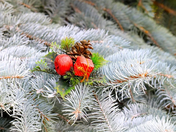 Bir Tatil Arifesinde Bir Orman Ağacı Dalları Üzerinde Noel Süsleri — Stok fotoğraf