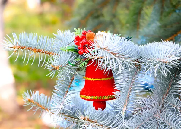 Christmas Decorations Branches Forest Tree Eve Holiday — Stock Photo, Image