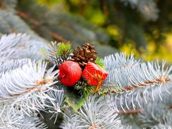 Decorazioni Natalizie Sui Rami Albero Bosco Alla Vigilia Una Vacanza — Foto Stock