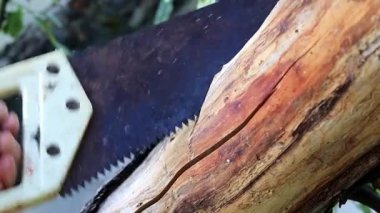 yaz yazlık çalışmaları sırasında Bahçe ağaç kesme tezgahlar