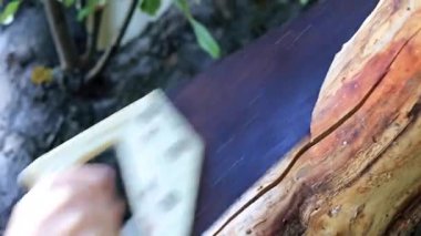 yaz yazlık çalışmaları sırasında Bahçe ağaç kesme tezgahlar