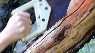 yaz yazlık çalışmaları sırasında Bahçe ağaç kesme tezgahlar