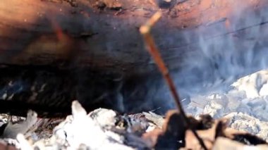 yanan orman yangını sırasında kuru dalları ve ağaç gövdeleri