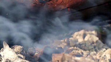 yanan orman yangını sırasında kuru dalları ve ağaç gövdeleri