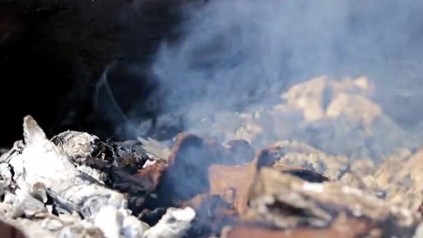 Yanan Orman Yangını Sırasında Kuru Dalları Ağaç Gövdeleri — Stok video