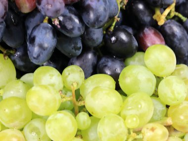güzel kümeleri yemek için taze Olgun üzüm hasat