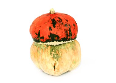 güzel taze kabak yemek bir unsuru olarak