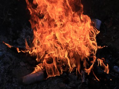 orman yangını ve parlak alev ateş Kuru sezonunda