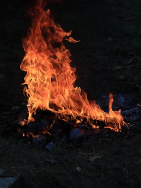 orman yangını ve parlak alev ateş Kuru sezonunda