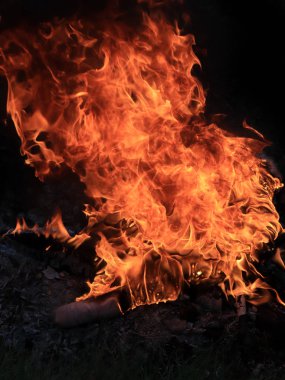 orman yangını ve parlak alev ateş Kuru sezonunda