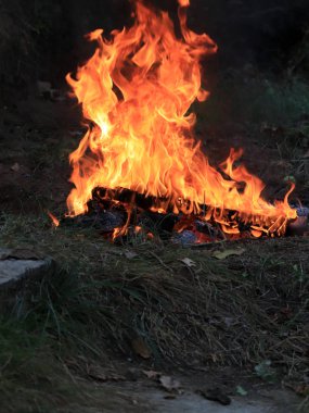 orman yangını ve parlak alev ateş Kuru sezonunda