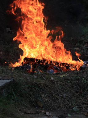 orman yangını ve parlak alev ateş Kuru sezonunda