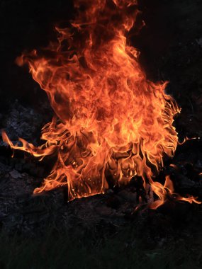orman yangını ve parlak alev ateş Kuru sezonunda
