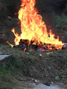 orman yangını ve parlak alev ateş Kuru sezonunda