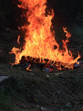 orman yangını ve parlak alev ateş Kuru sezonunda