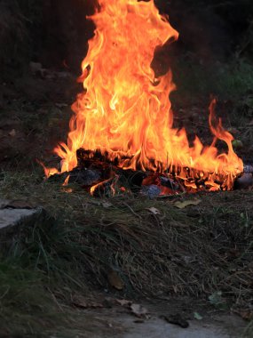 orman yangını ve parlak alev ateş Kuru sezonunda