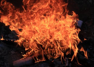 orman yangını ve parlak alev ateş Kuru sezonunda