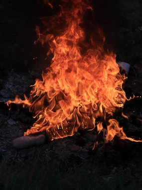 orman yangını ve parlak alev ateş Kuru sezonunda