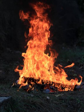 orman yangını ve parlak alev ateş Kuru sezonunda