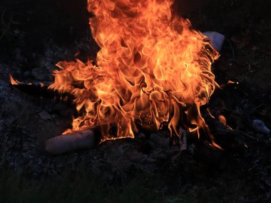 orman yangını ve parlak alev ateş Kuru sezonunda