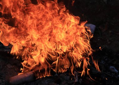 orman yangını ve parlak alev ateş Kuru sezonunda