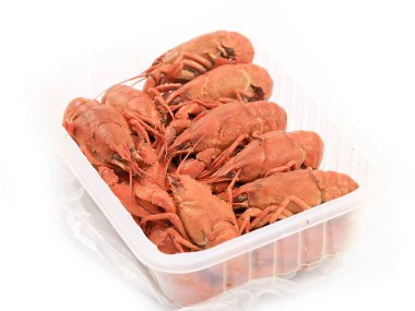 bir öğe gıda ve alkollü içecekler ve bira için Aperatif olarak taze haşlanmış kerevit