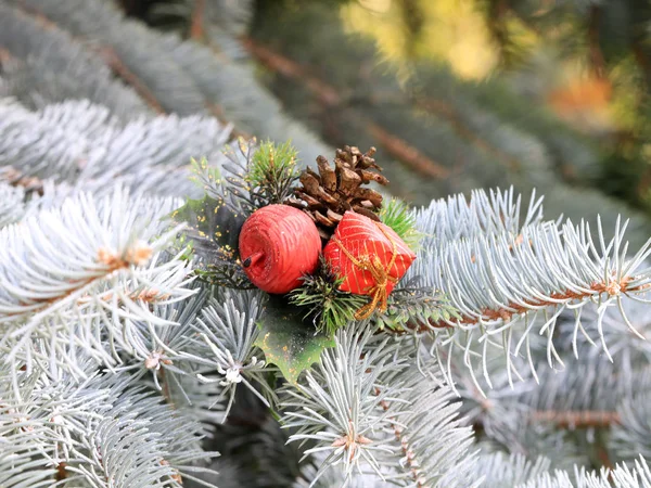 Giocattoli Decorazioni Sui Rami Verdi Dell Albero Natale — Foto Stock