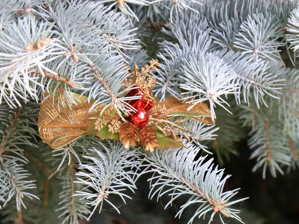 Spielzeug Und Dekoration Auf Den Grünen Zweigen Des Weihnachtsbaums — Stockfoto