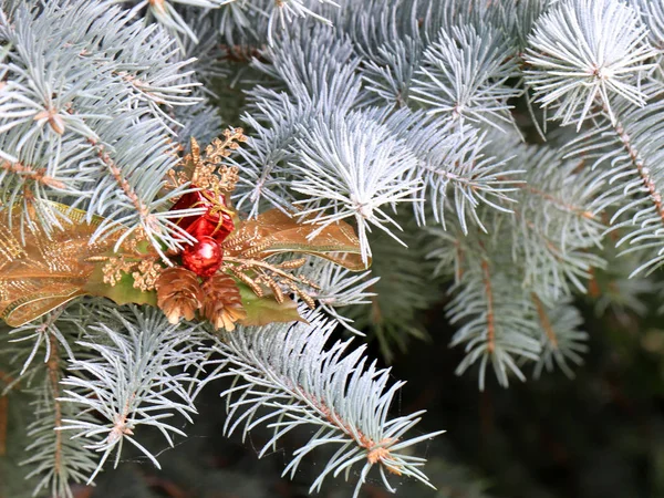 Jouets Décorations Sur Les Branches Vertes Arbre Noël — Photo