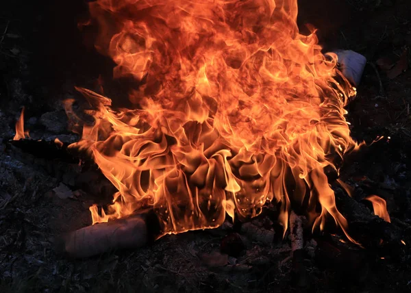 Llama Brillante Fuego Salvaje Durante Estación Seca —  Fotos de Stock